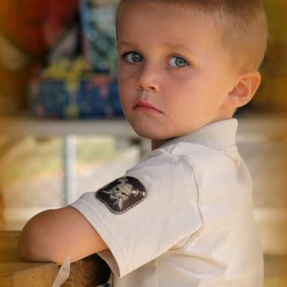 Meet your Posher, Dawson - Picture 1 of 1